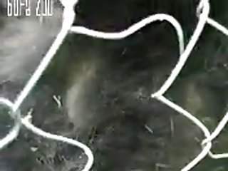 Loving Dakotas Cock Chunk 10