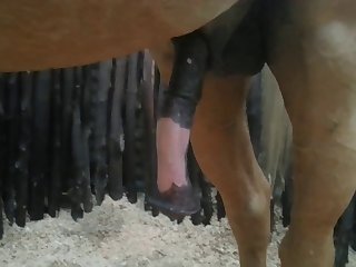 Nice 2 Beastforum Geles Masturbation