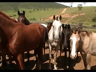 New Mare 1
