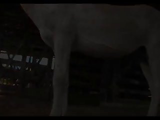 Donkey Dick