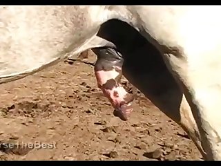Big Puss Ass 3