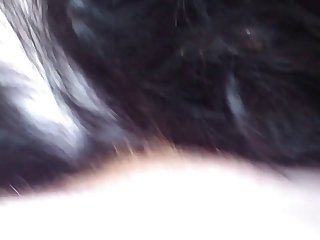 Dog Porn Animation 3d