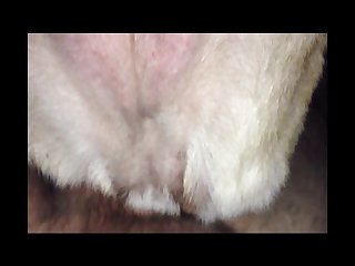 Girls Vs Dog Porn