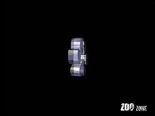 Art Of Zoo 2025