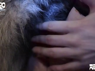 Manga Hentai Zoo