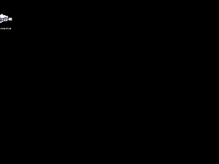 Gadha Sex