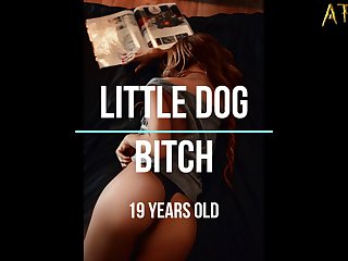 Dog Sex Picture