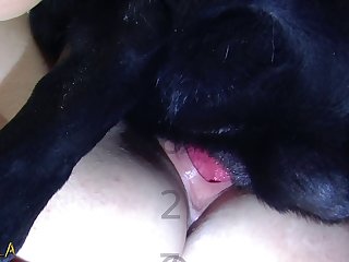 Zoo Porno