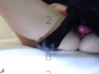 Zoo Porno