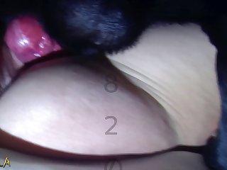 Zoo Porno