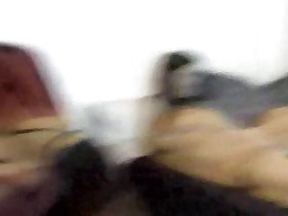 Hond Likt Kutje