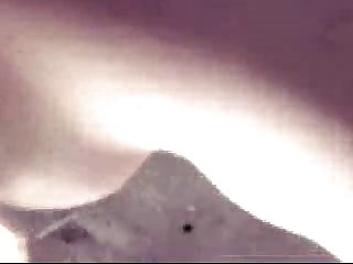 Ghodi Ki Chudai