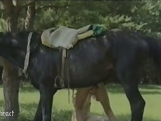 Horasxxxmove - Horse Xxx Film